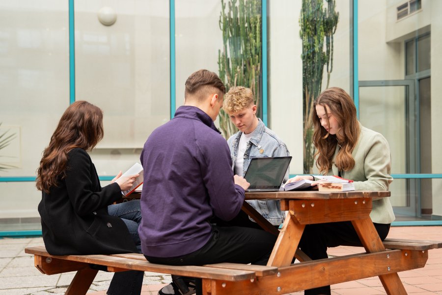 kafelek organizacja studiów 900x600 autor mateusz kalinowski